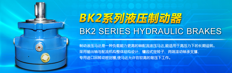 BK2系列液压制动器